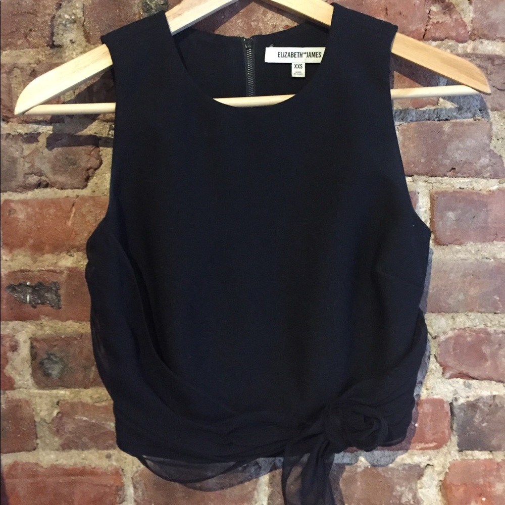 Elizabeth and James evening wear crop top